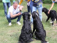 Puppys van Bliss040622-0055